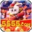 5555 - 🚀 apk
